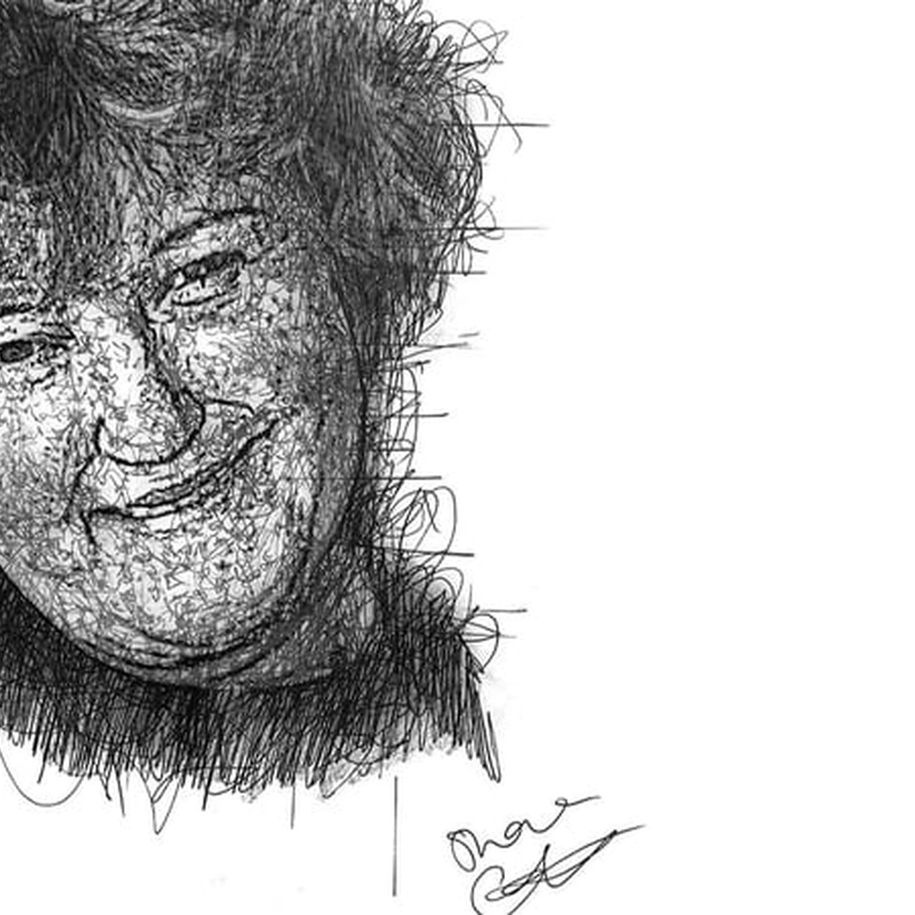 Shane Gillen's portrait honouring the late Brenda Fricker