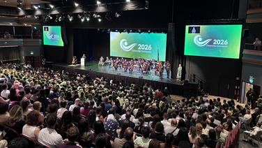 New rules for people seeking Irish citizenship