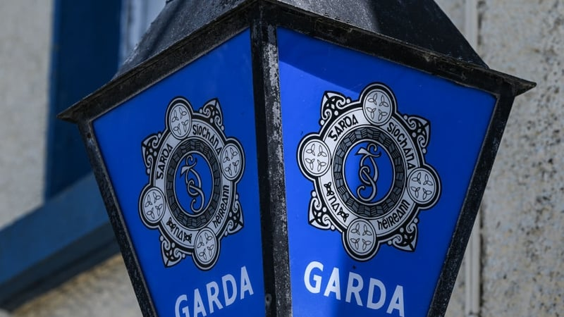 Man, 20s, dies following suspected hunting accident in Carlow