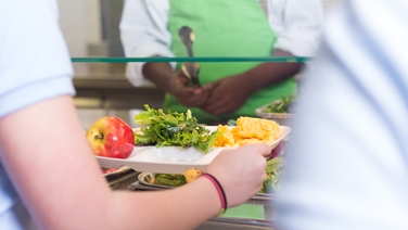 Changes on way to hot school meals, says Minister
