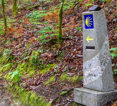 Wayfinding marker to be added to Boyne Valley Camino