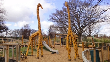 Dublin Zoo official playground inspector starts new role today episode artwork