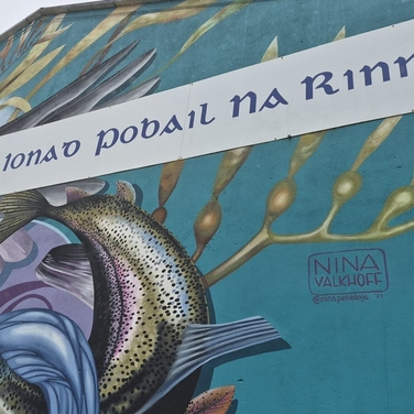Cathal Ó hÓgáin