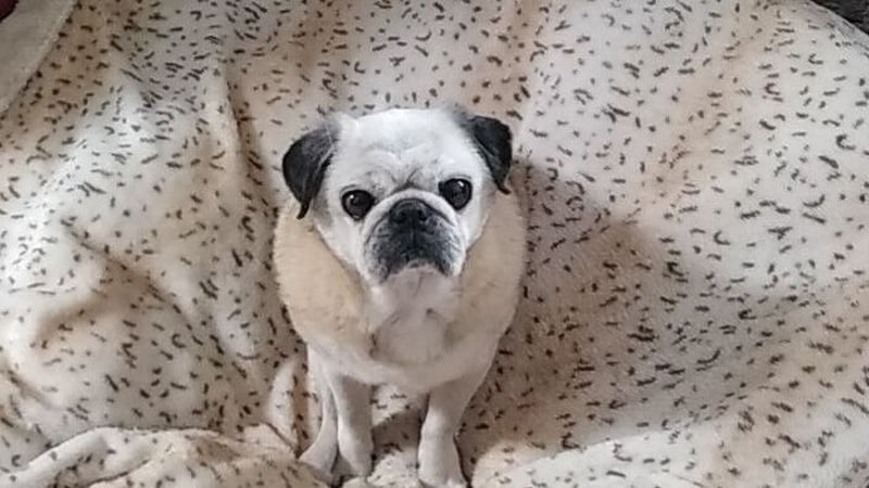 Edel Ní Loibhéad agus Máire Ní Laighin