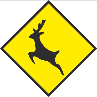 Ed Hick