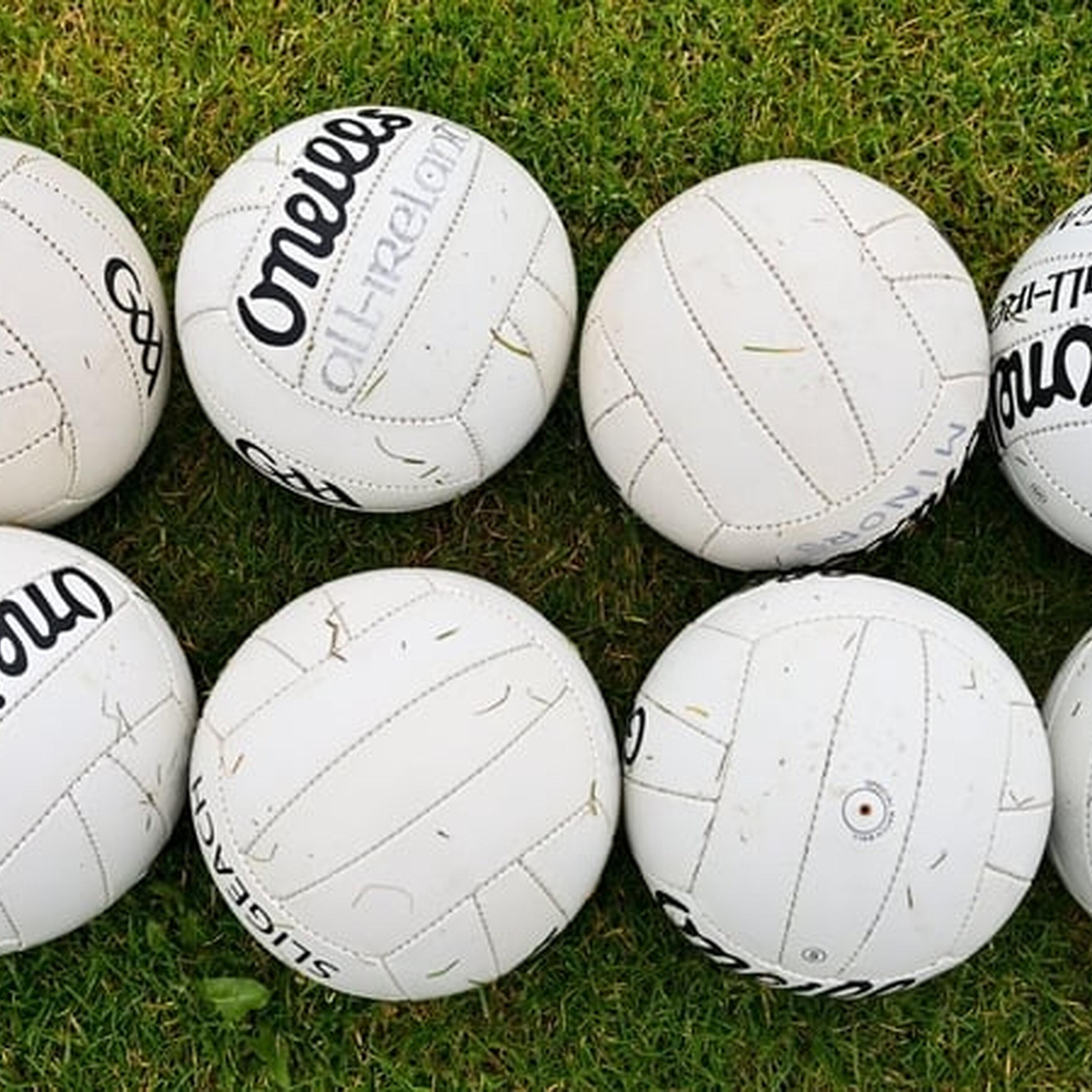 Micheal Ó Criodáin, Gearóid Ó hEalaithe, Dónal Ó Laoire