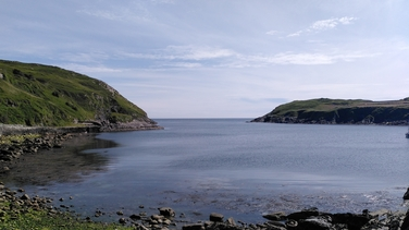 Ruairí Ó Donabháin & Seamus Ó Driscoeil