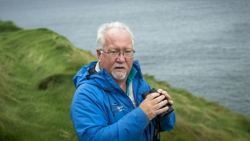 Caoimhín Ó Flannúra