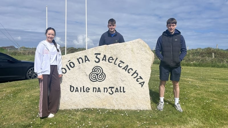 Emma Ní Fhathaigh, Diarmuid Ó Gabhláin agus Cian Ó Cadhain