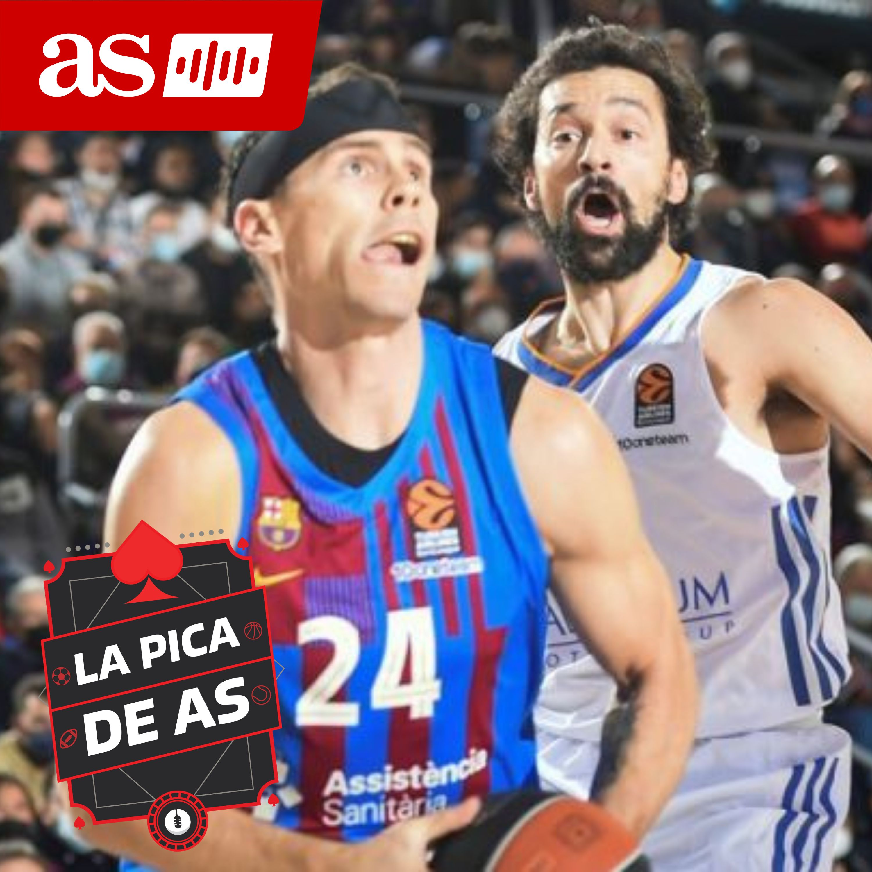 Imagen de Baloncesto | Previa de la Final Four de la Euroliga: siempre a la altura