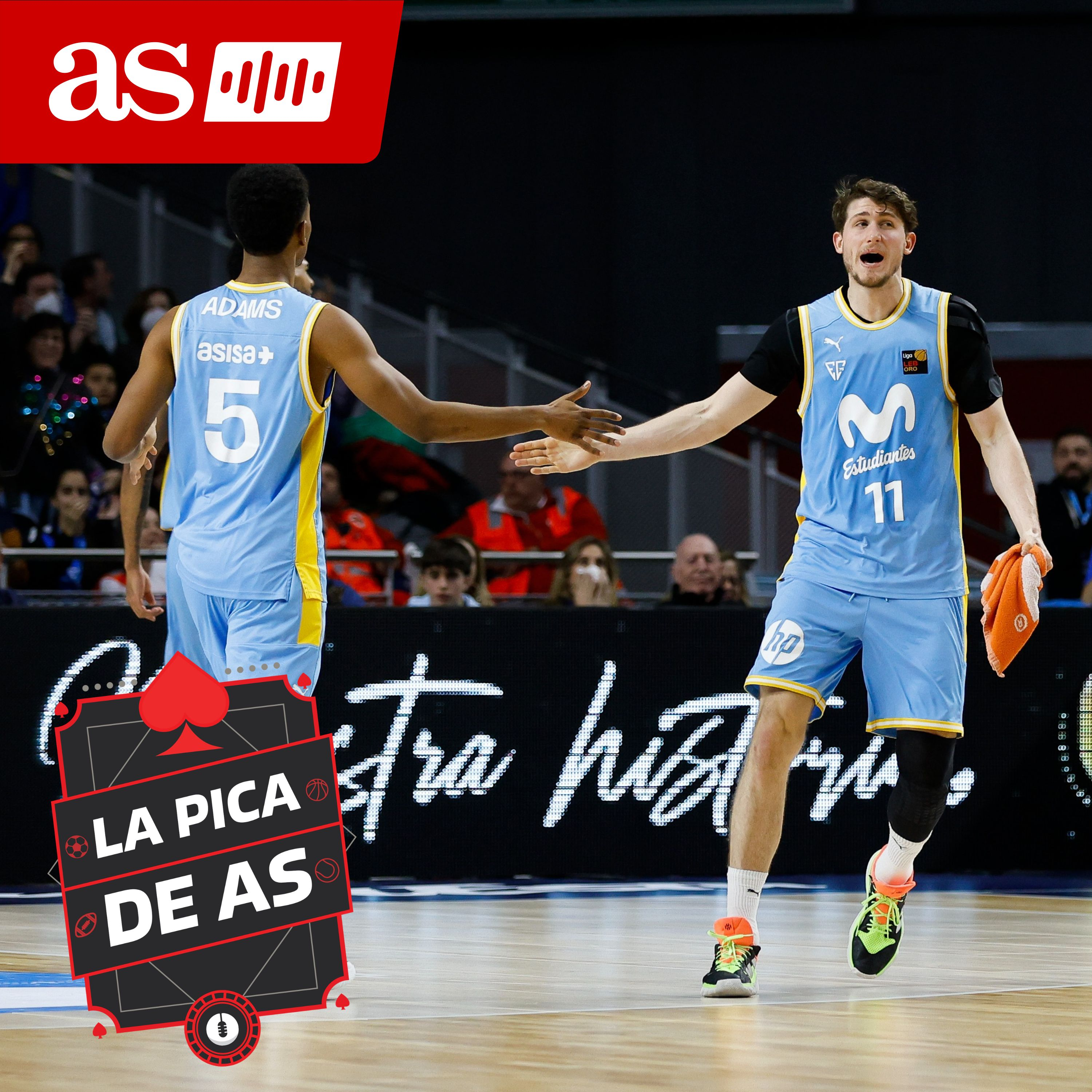 Imagen de Baloncesto | El Estudiantes no levanta cabeza en LEB Oro
