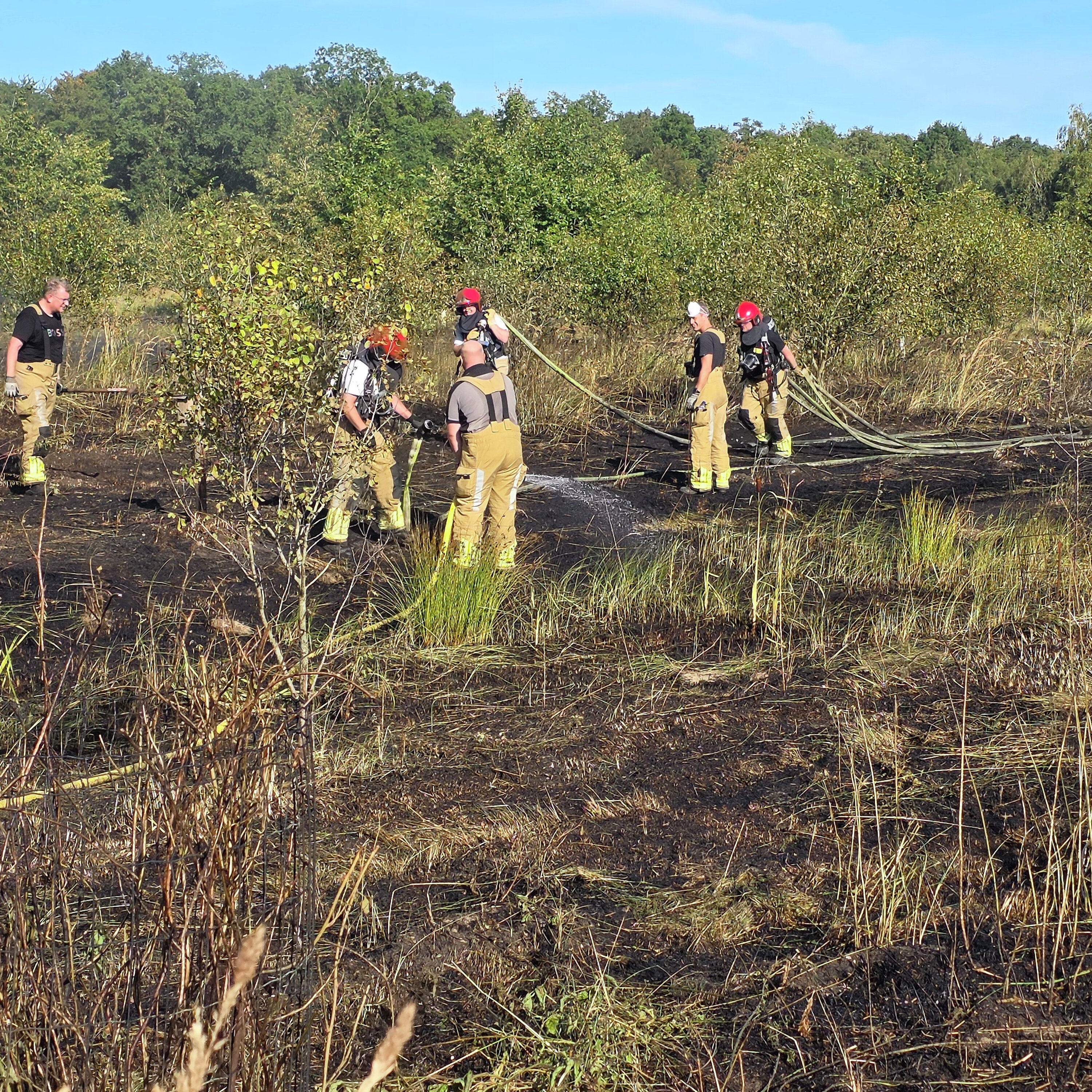 Brandweer Flevoland extra alert op natuurbranden en schaalt sneller op episode artwork