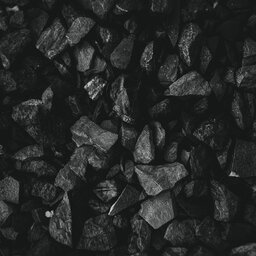 Judith Brett: The Coal Curse