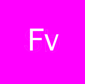 From The Vault Podcast - 2026-5-31