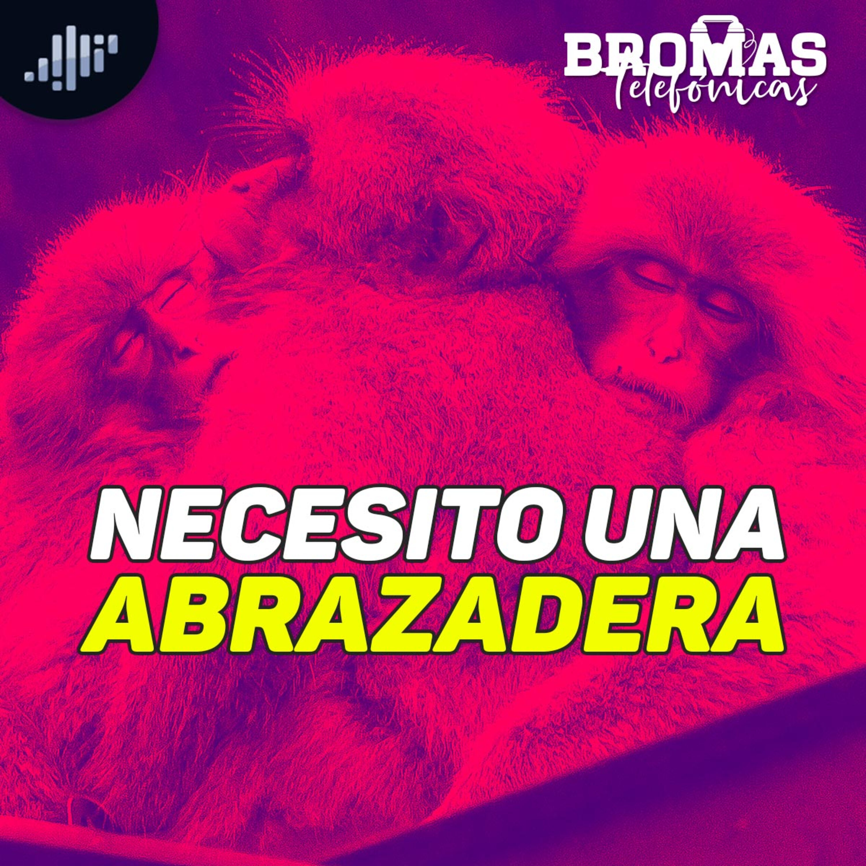 Necesito una abrazadera