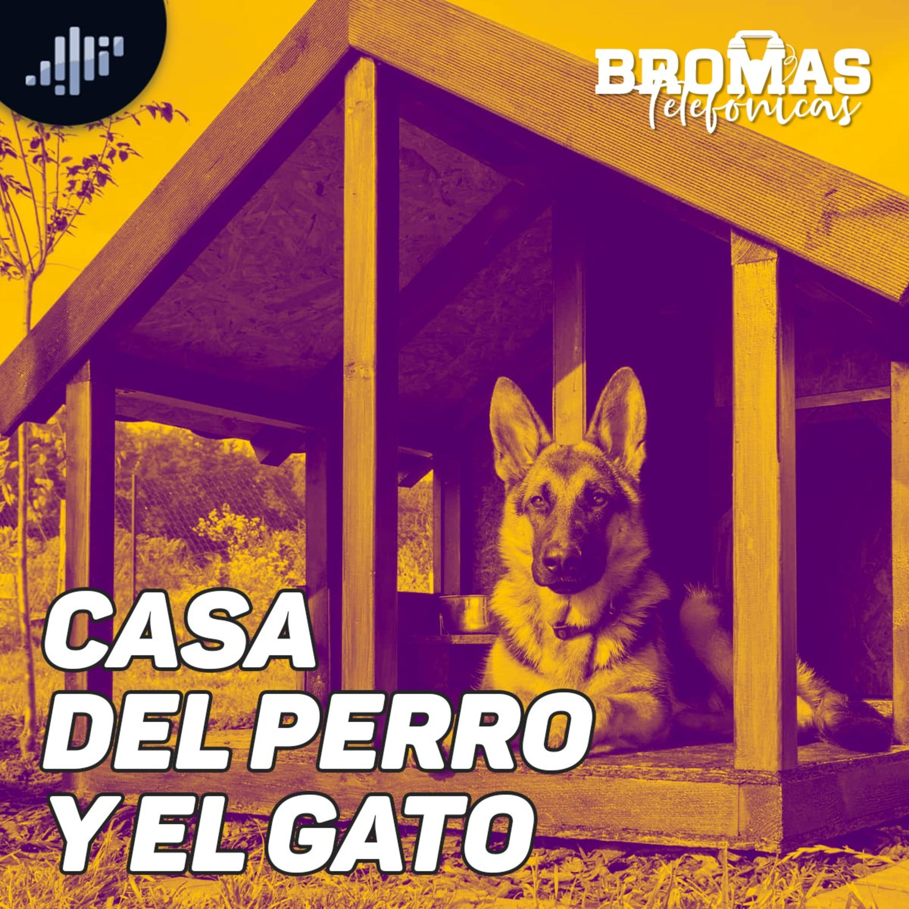 La casa del perro y el gato | Bromas telefónicas