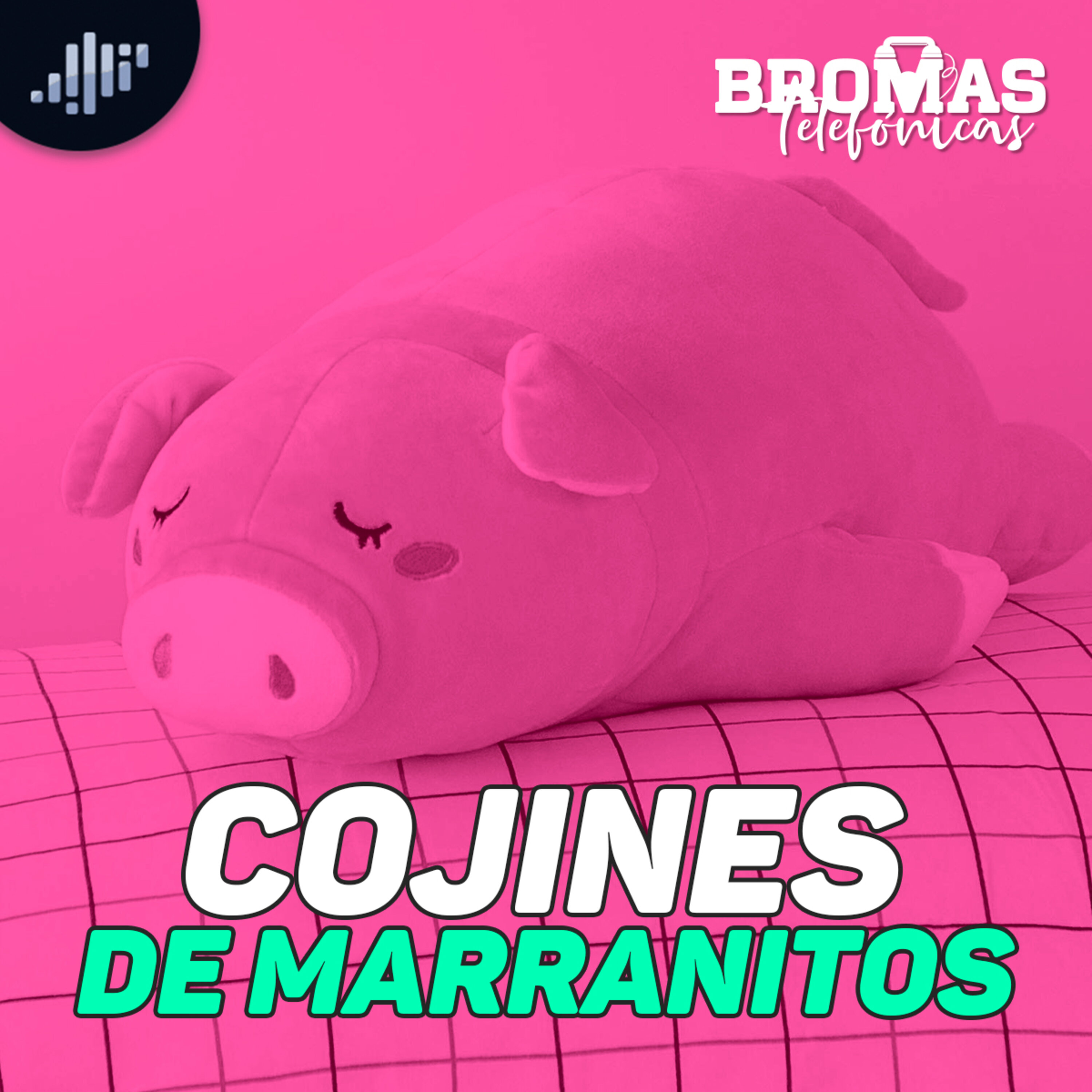 Cojines de marranitos | Bromas Telefónicas