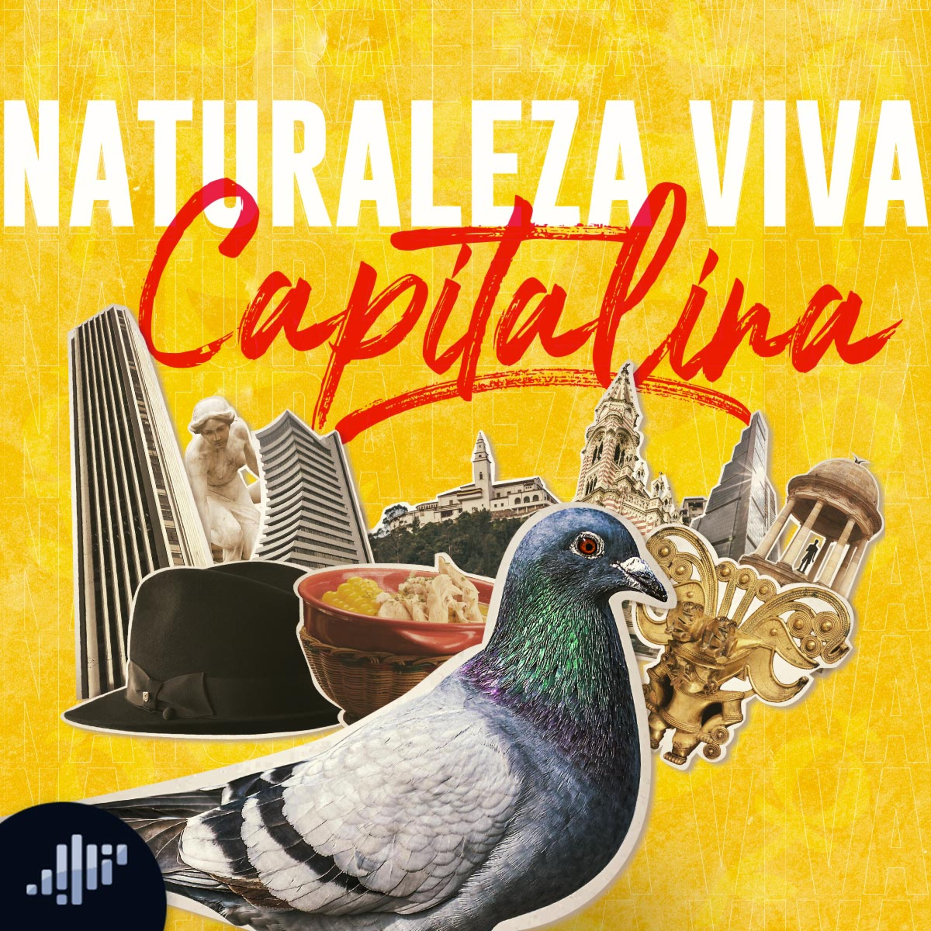 Sintonízate con Bogotá | PIA Podcast