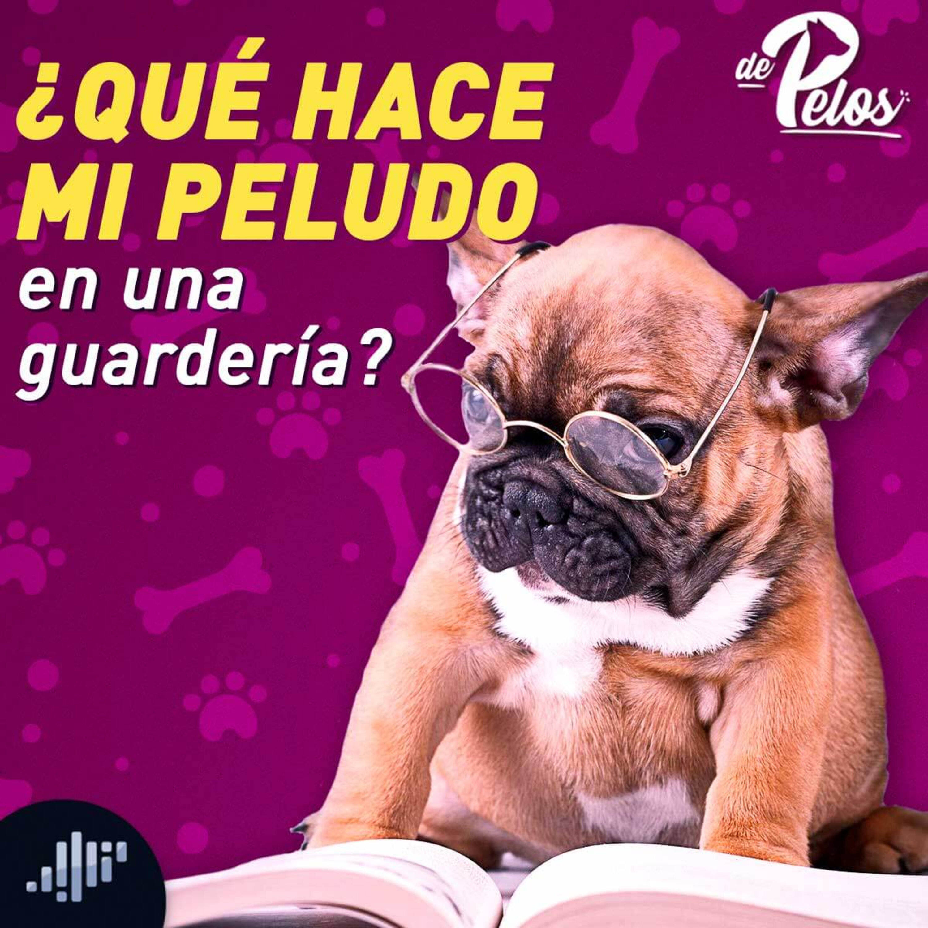 De pelos | PIA Podcast