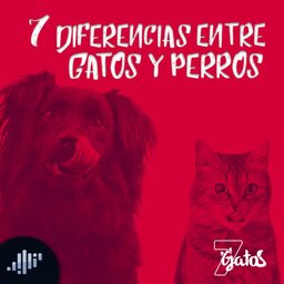 7 diferencias entre gatos y perros
