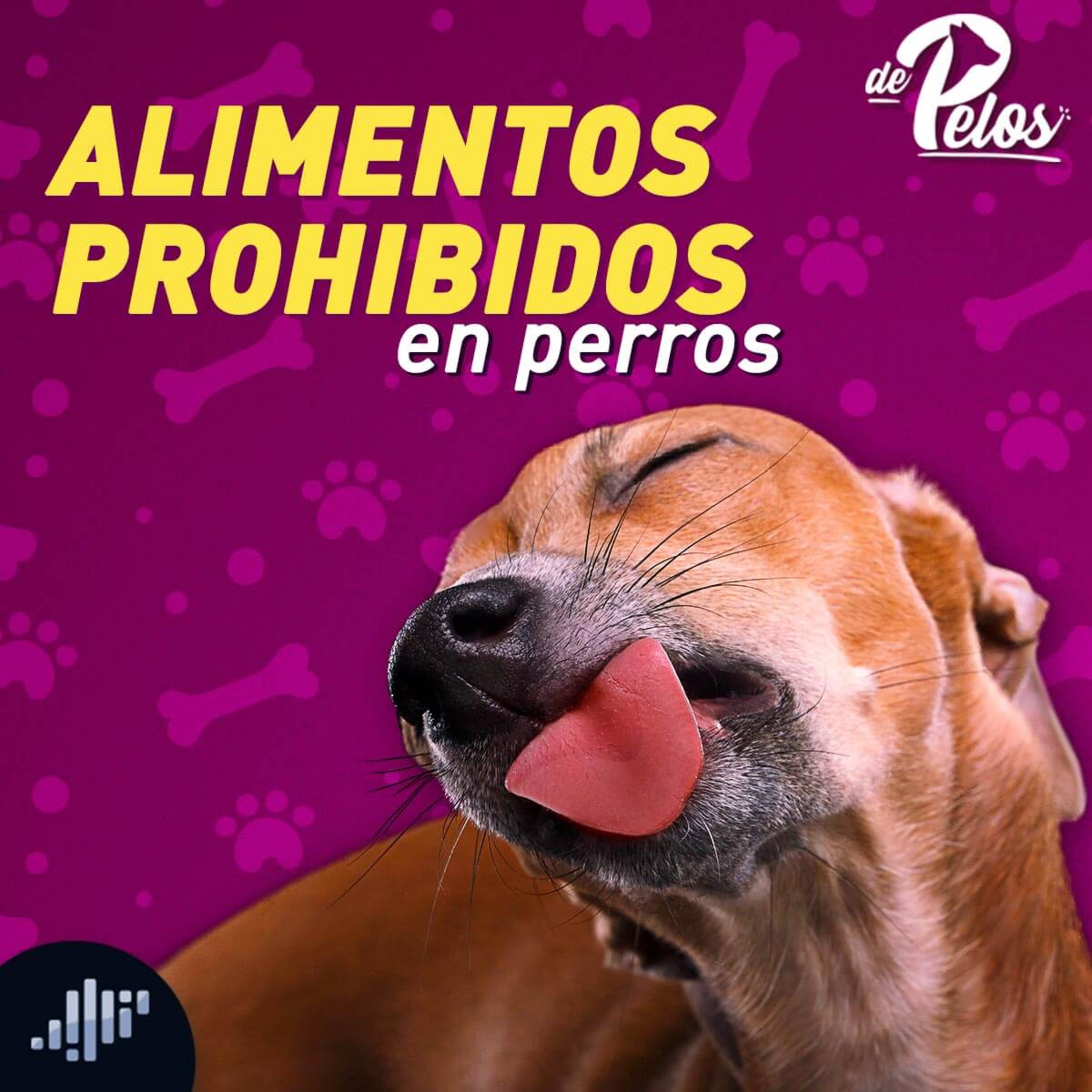 De pelos | PIA Podcast