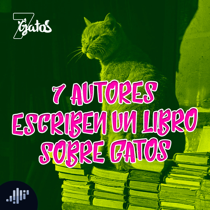 7 Gatos | PIA Podcast