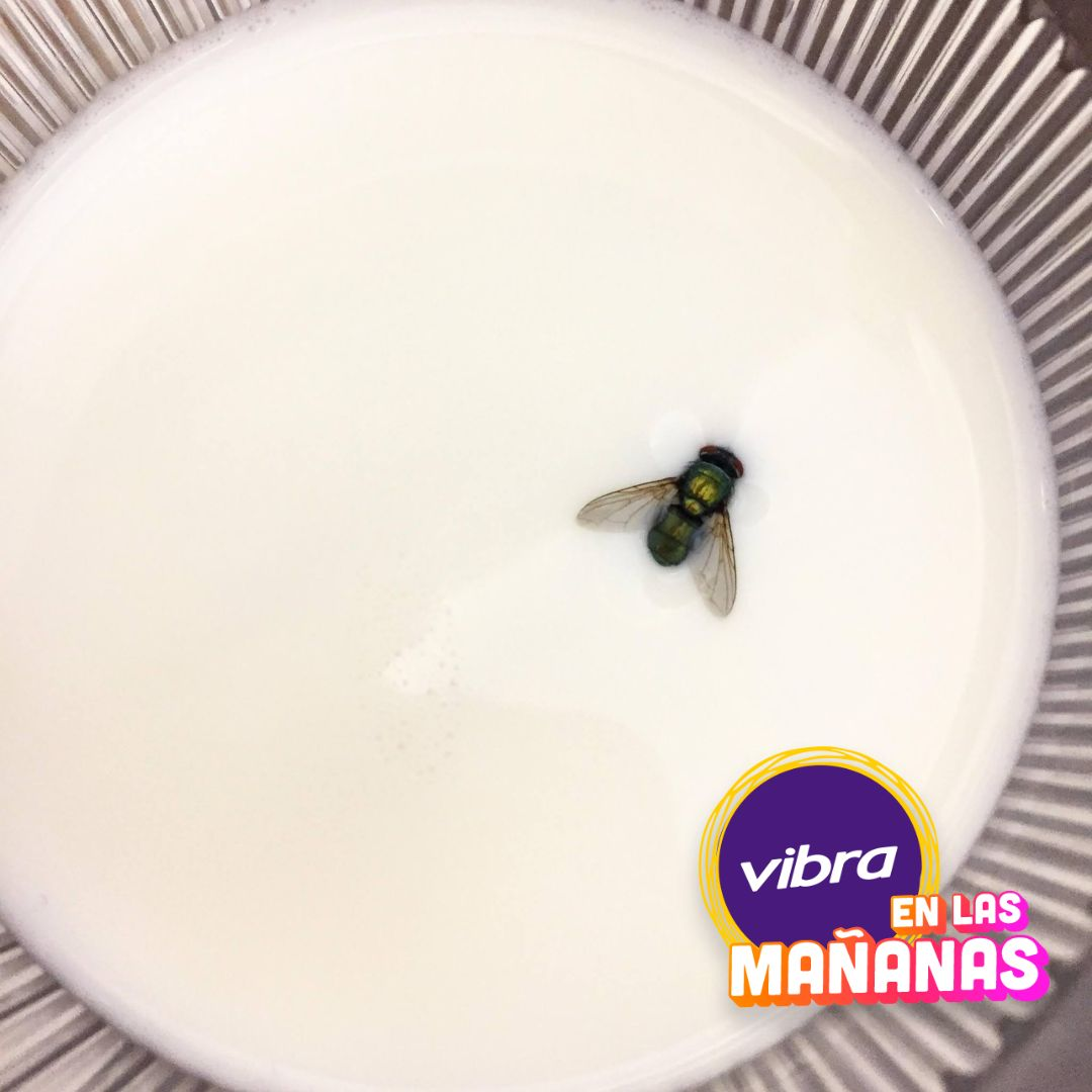 Portada de Vibra en las Mañanas