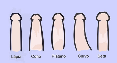 Tipos de pene y sus beneficios episode artwork