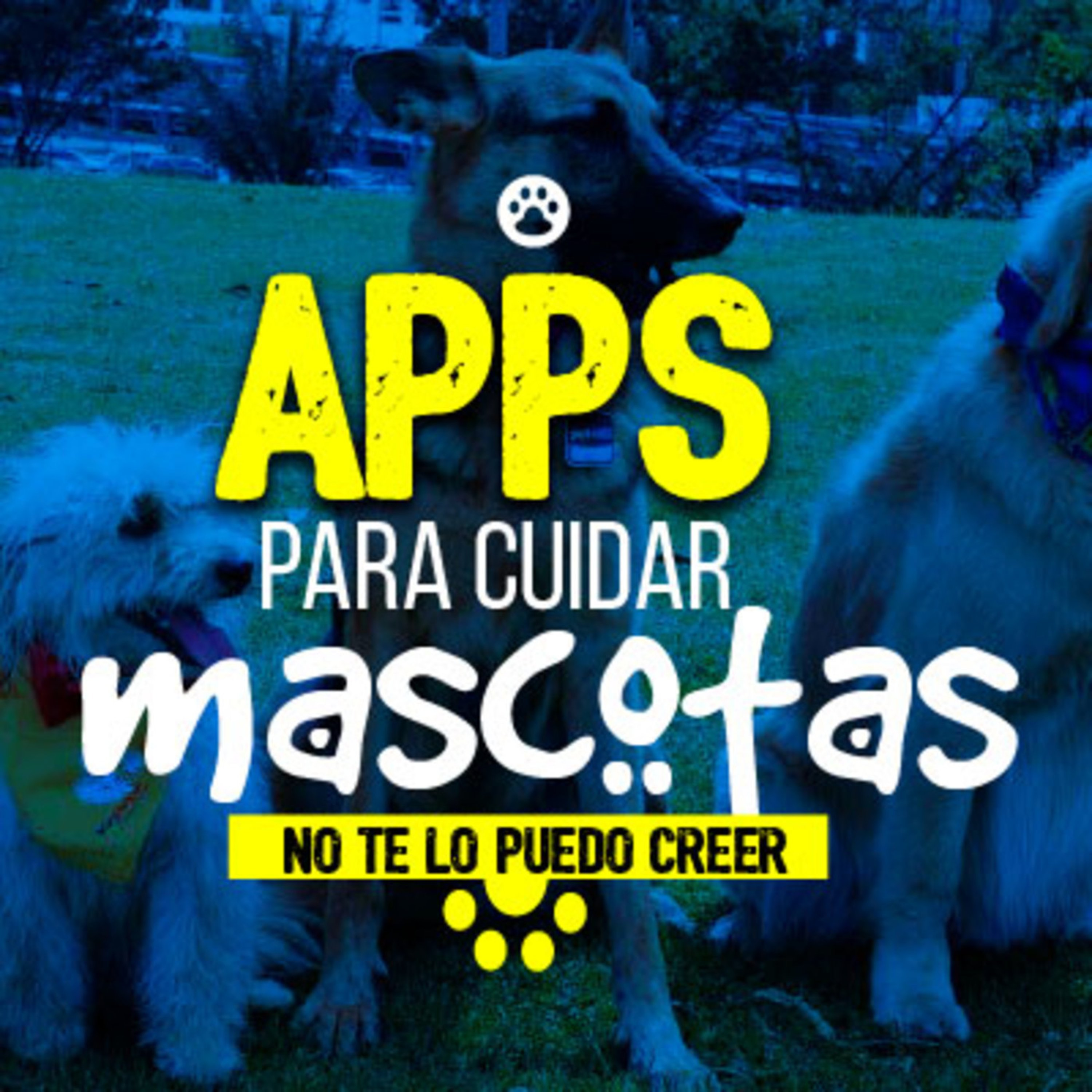 Apps para cuidar mascotas