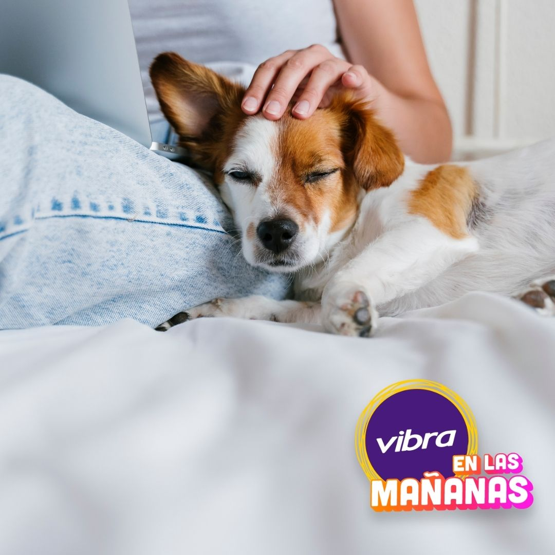 Portada de Vibra en las Mañanas