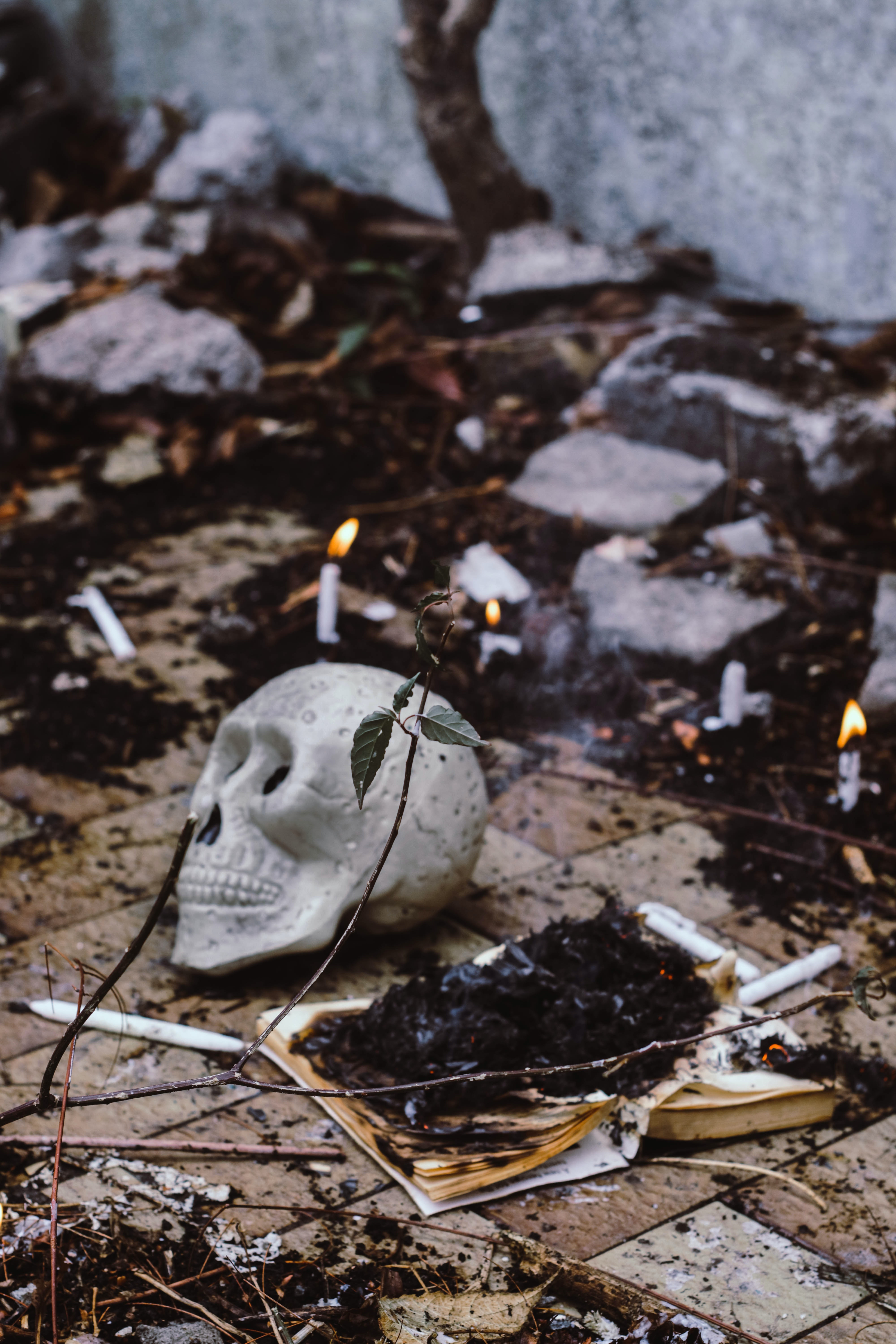 Broma Así funciona la brujería episode artwork