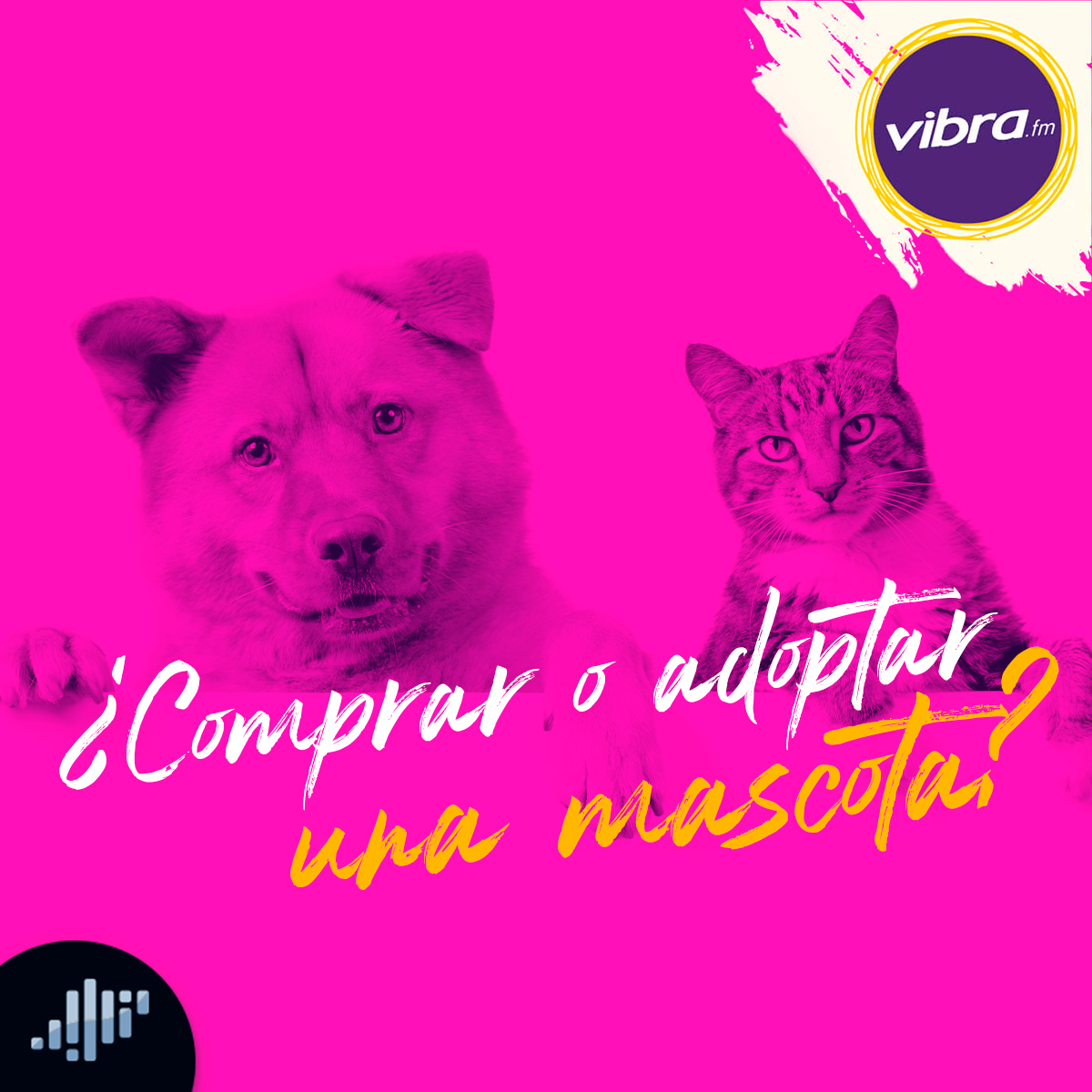 ¿Comprar o adoptar una mascota?
