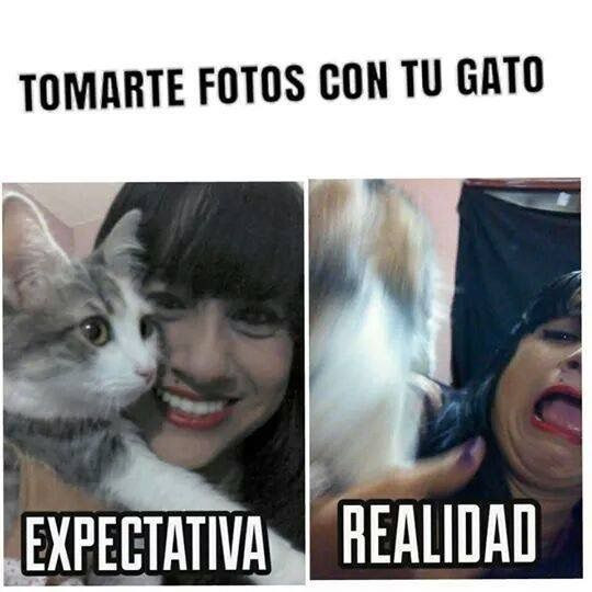 Portada de Vibra en las Mañanas