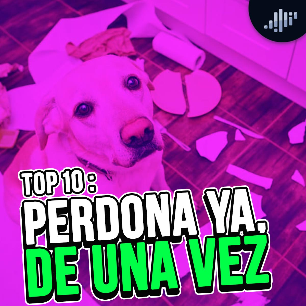 Portada de Vibra en las Mañanas