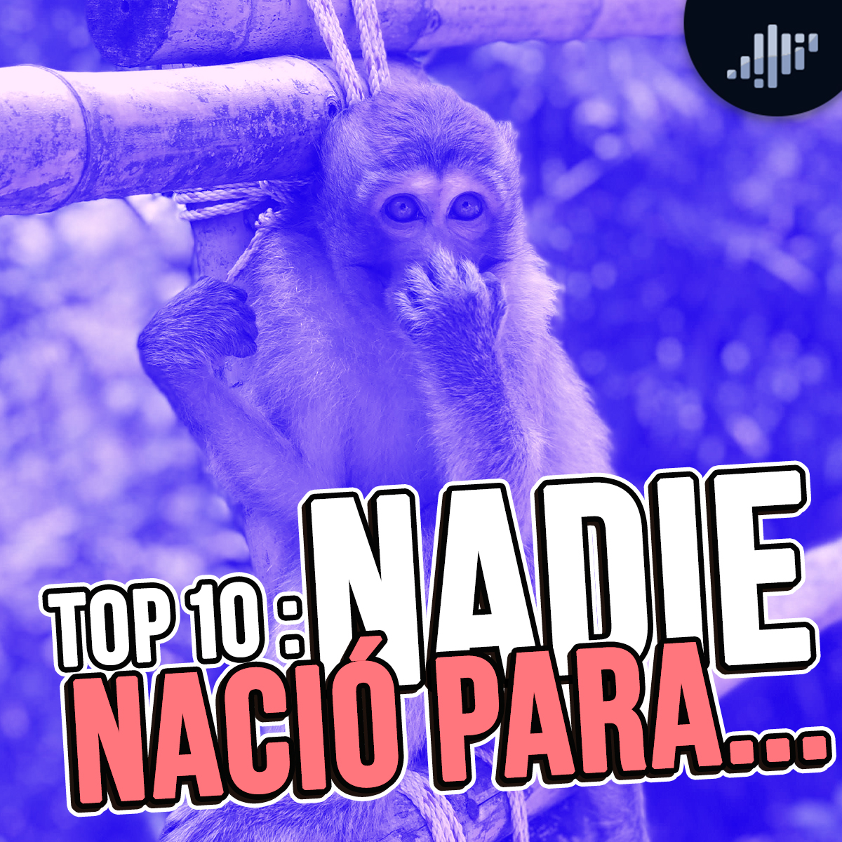 Portada de Vibra en las Mañanas