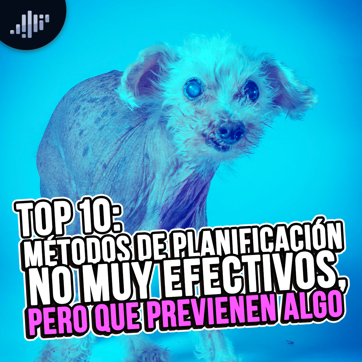 Portada de Vibra en las Mañanas