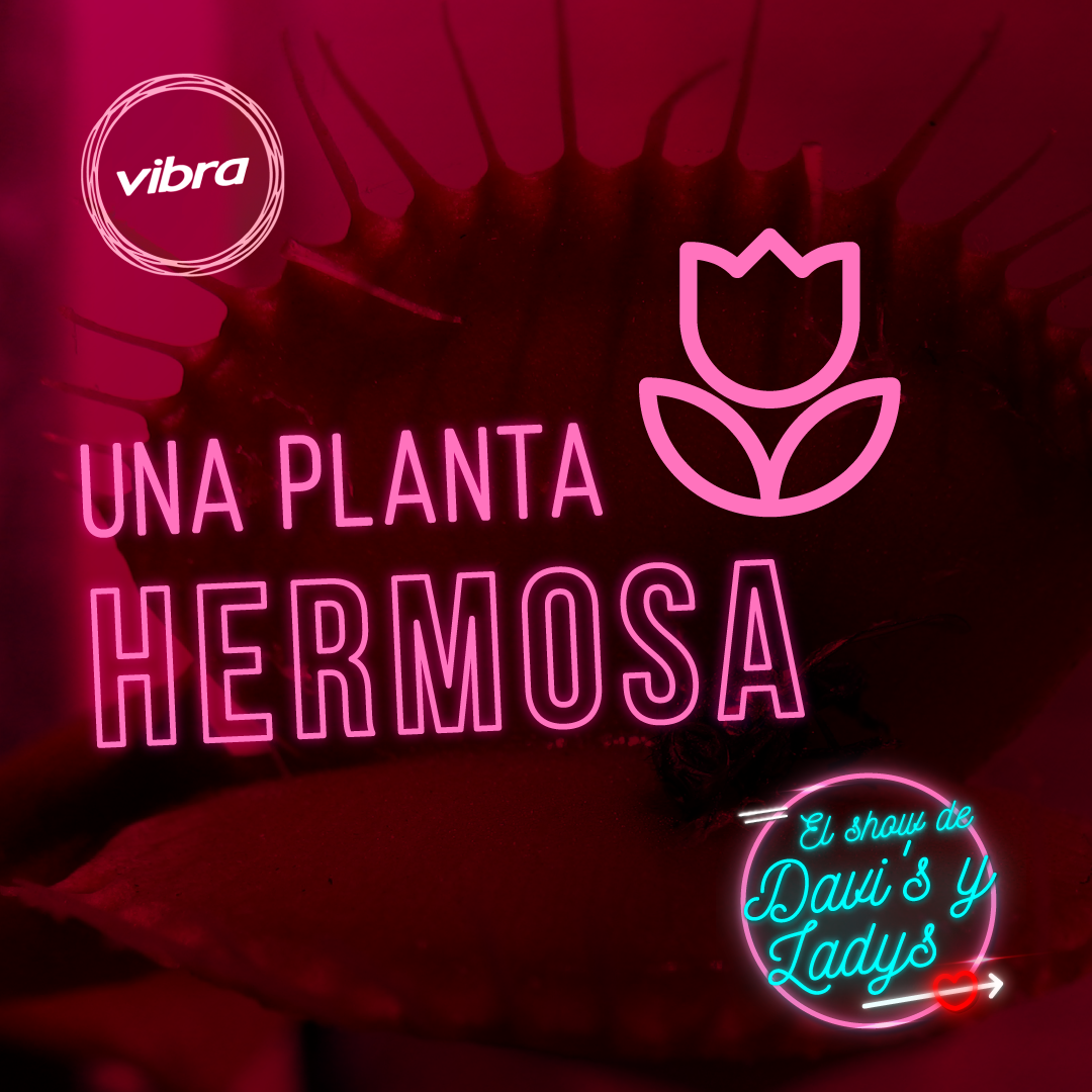 Una Planta Herrmosa | El Show de Deivis y Leidis episode artwork