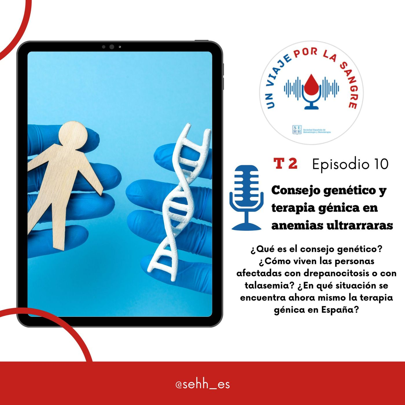 10. Consejo genético y terapia génica en anemias ultrarraras episode artwork