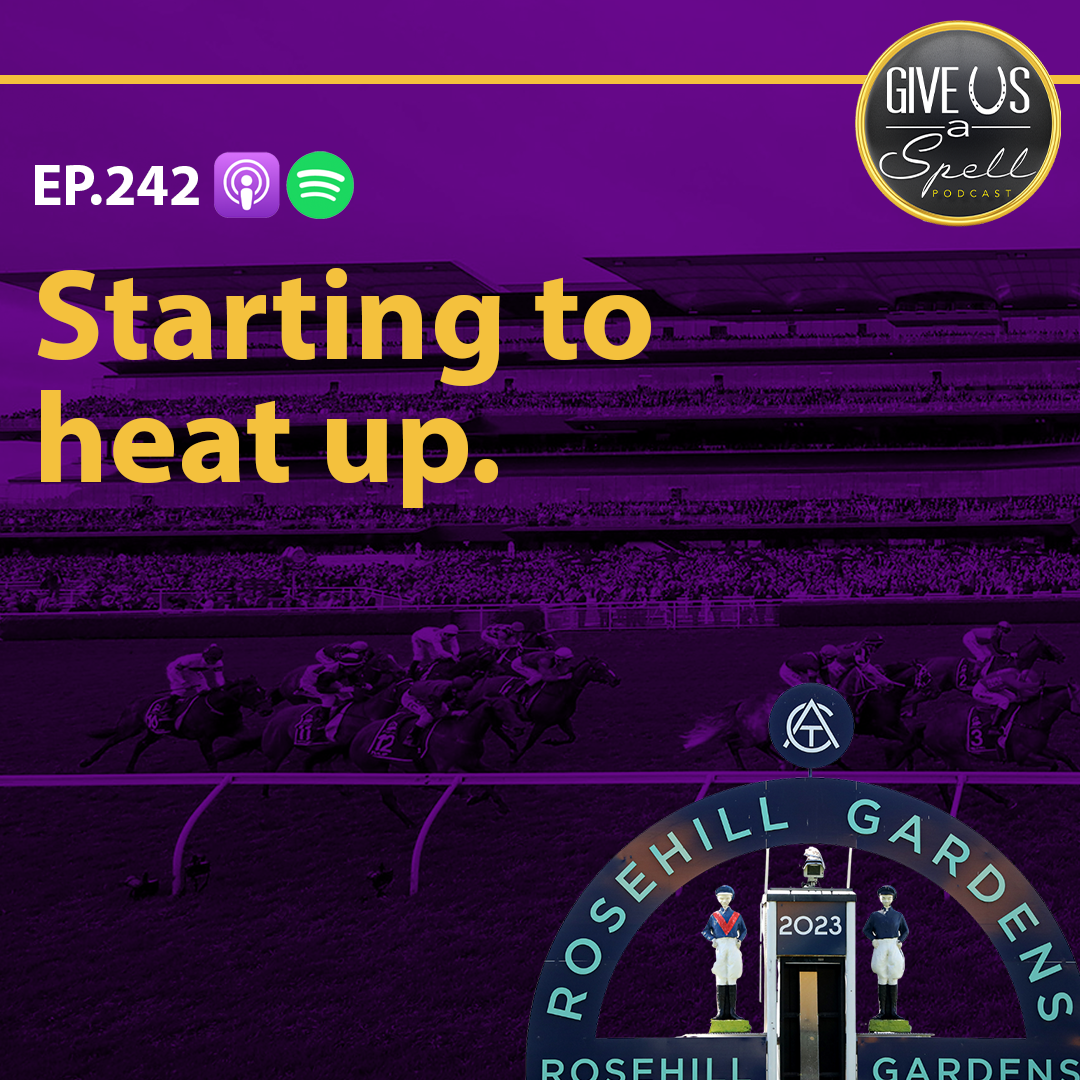 242 - Starting to heat up.