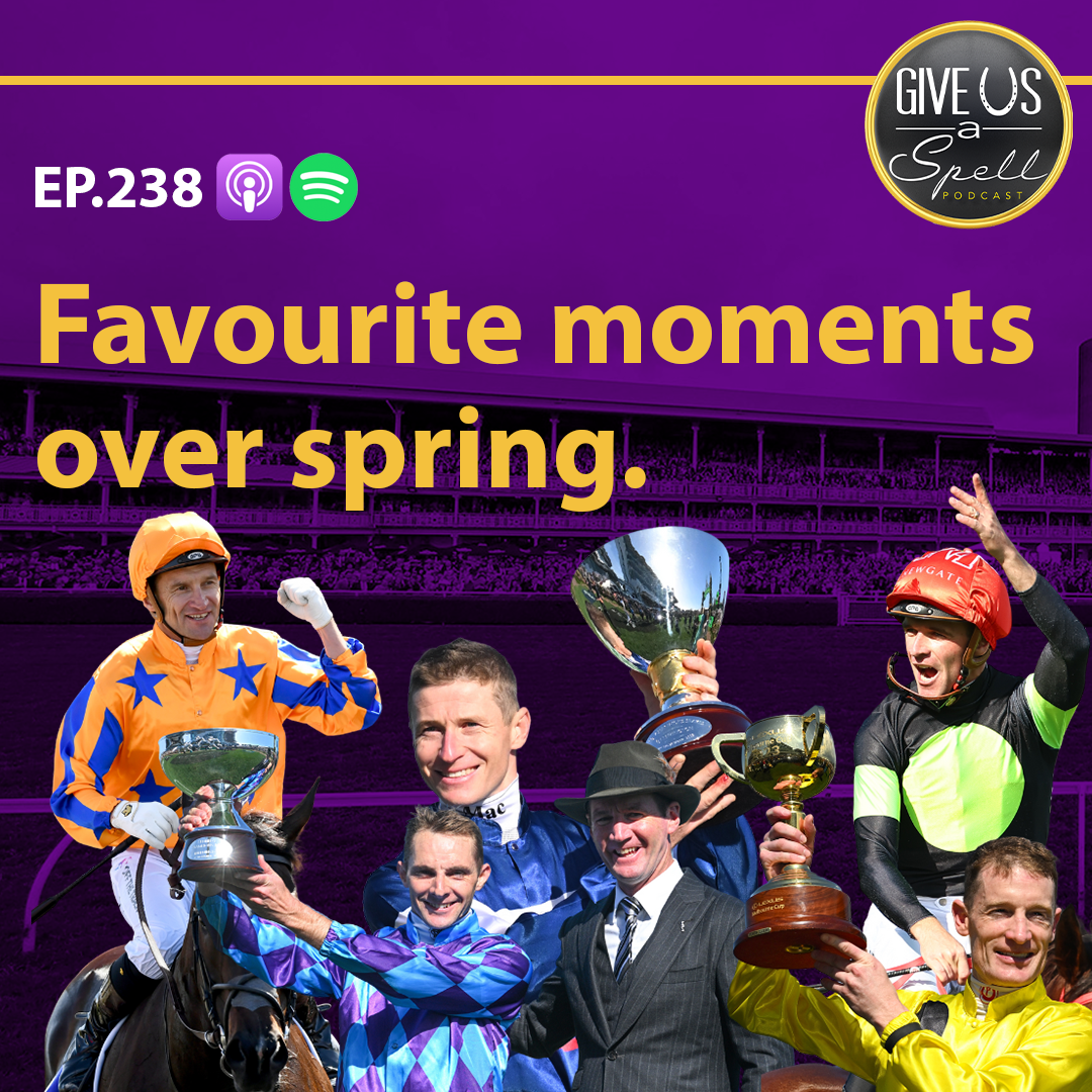 238 - Favourite spring moments