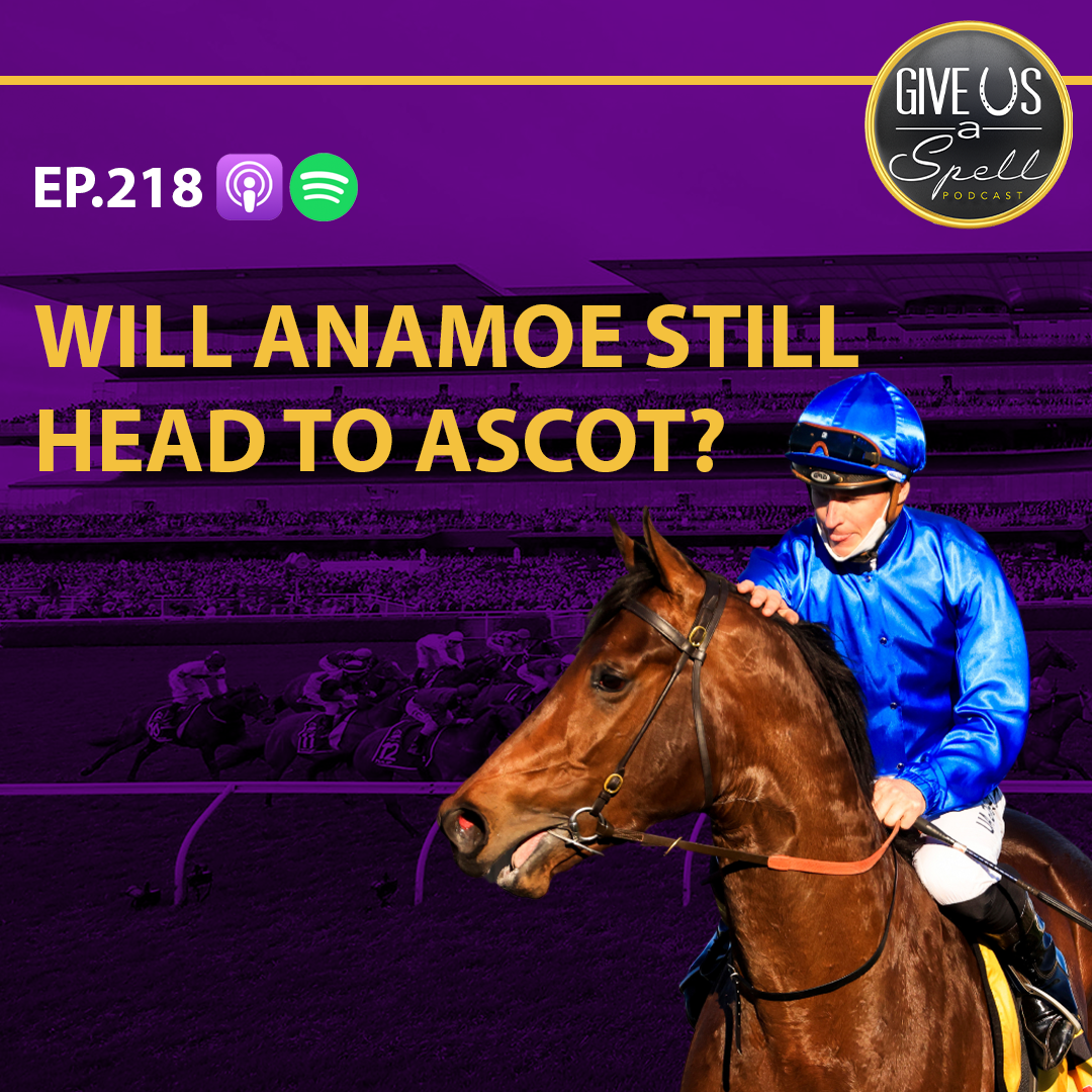 Will Anamoe still head to Royal Ascot?