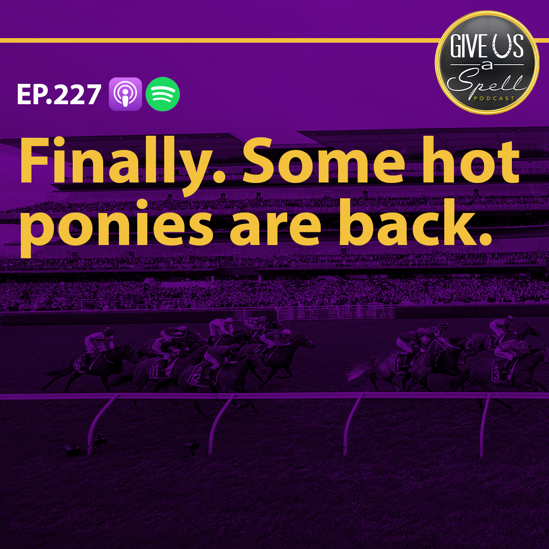 Finally. Some hot ponies are back.