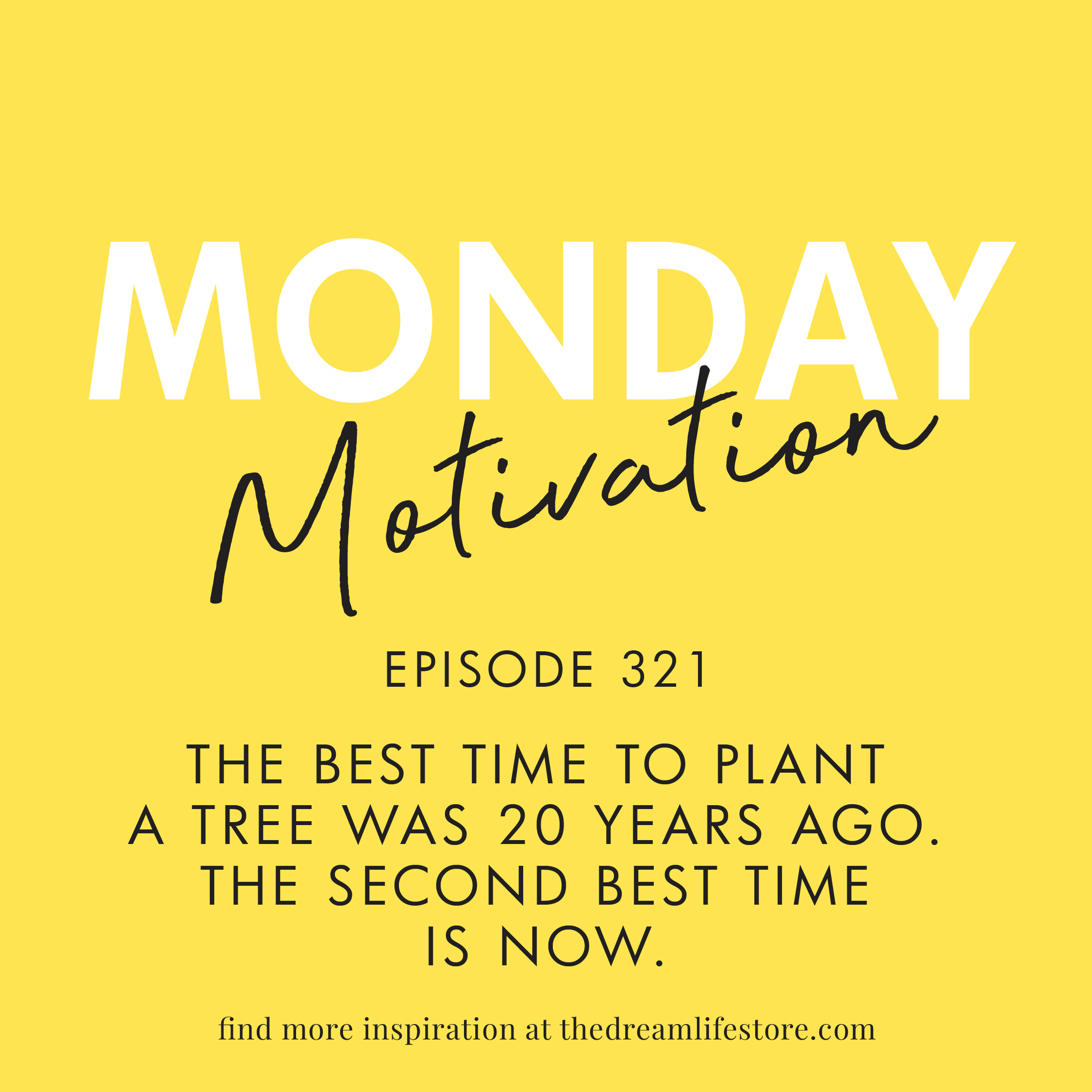 #321 - Monday Motivation: "The best time to plant a tree was 20 years ago. The second best time is now." 