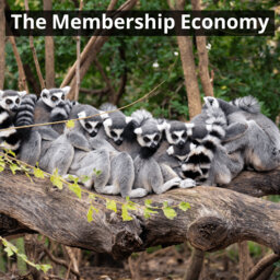the membership economy -  על כלכלת מנויים וכלכלה משתפת