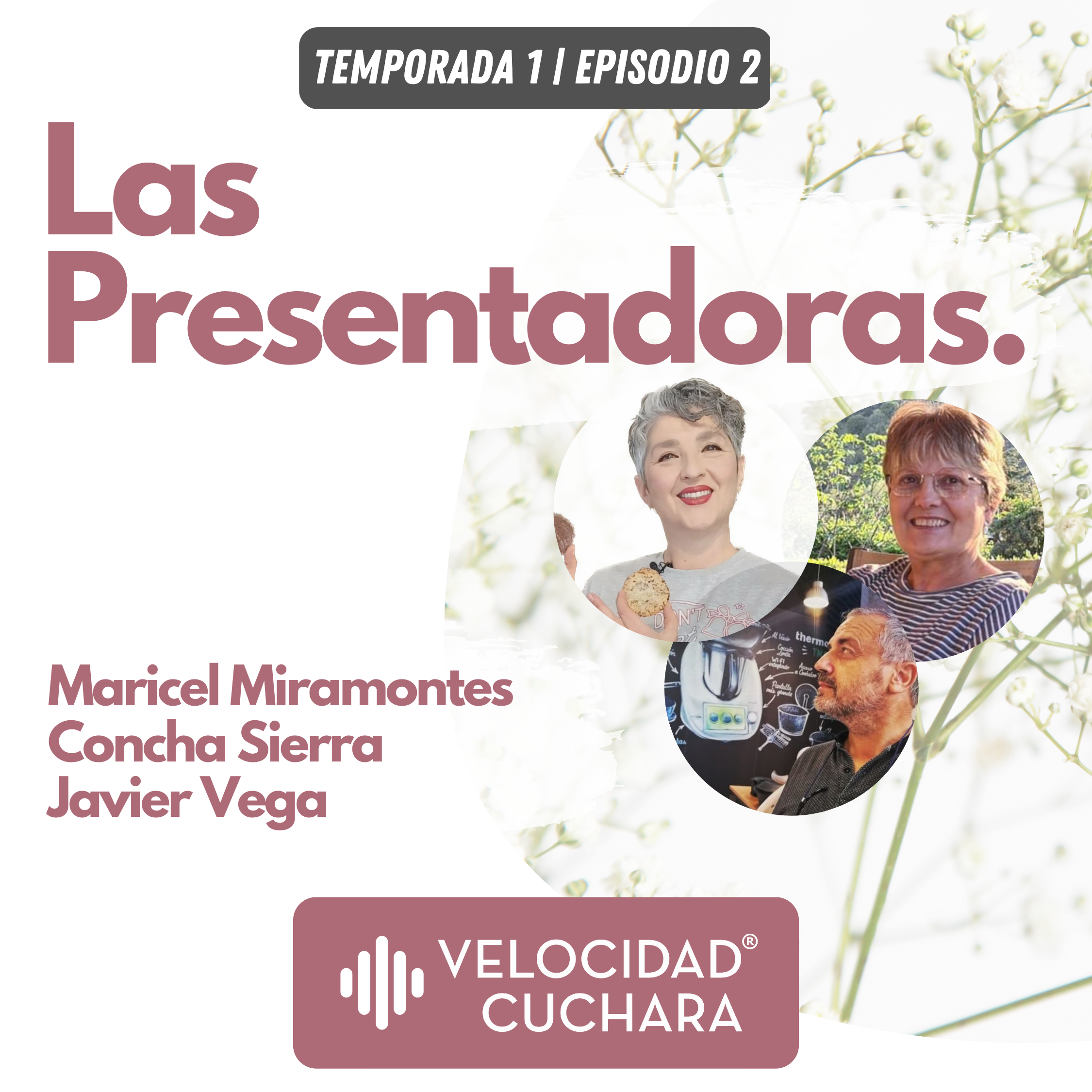 Velocidad Cuchara