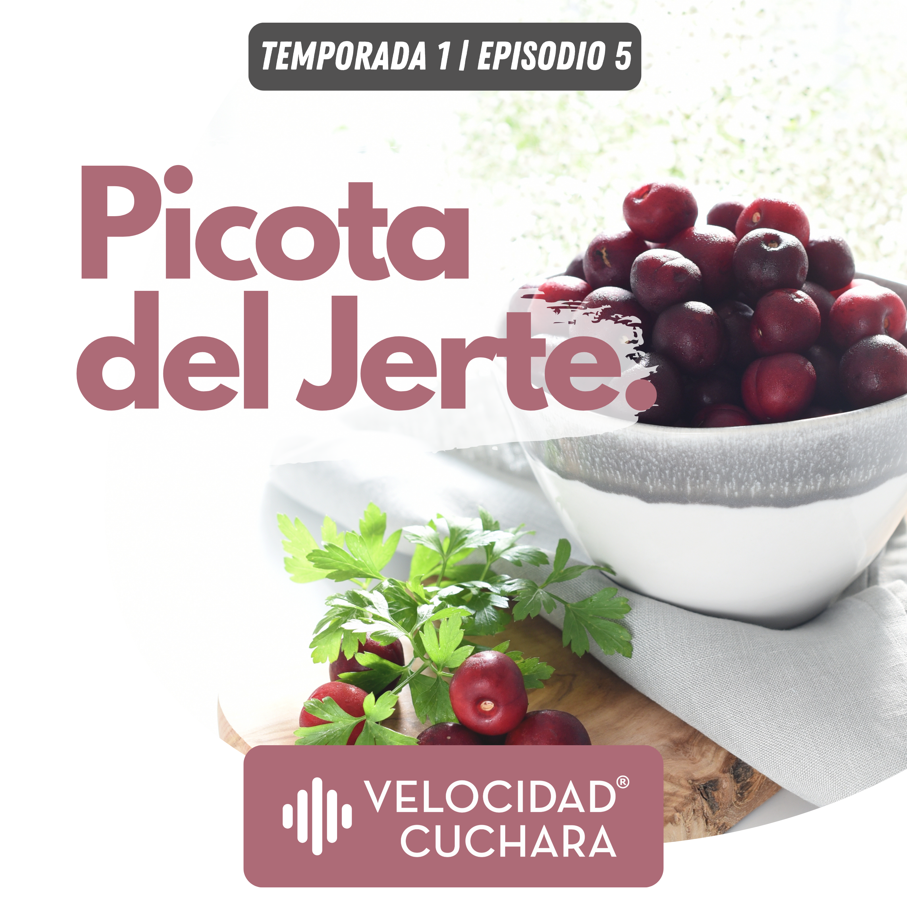 Velocidad Cuchara
