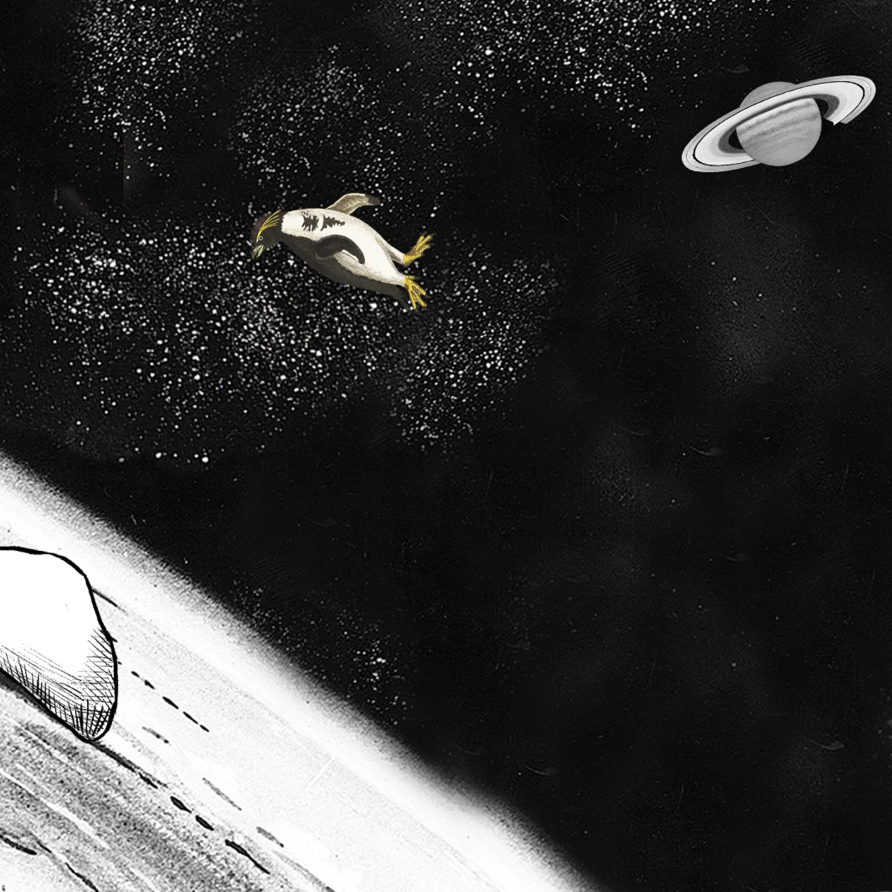 Dung Doctors. Disturbing droppings. Space poo. episode artwork