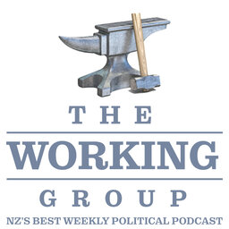 The Working Group Weekly Political Podcast with Dr Bryce Edwards, Maria Slade, & Damien Grant