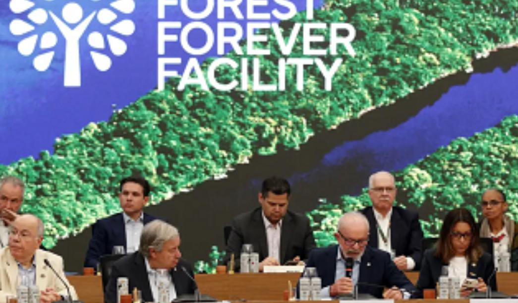 Painel JB 2ª Edição 06/11/2025