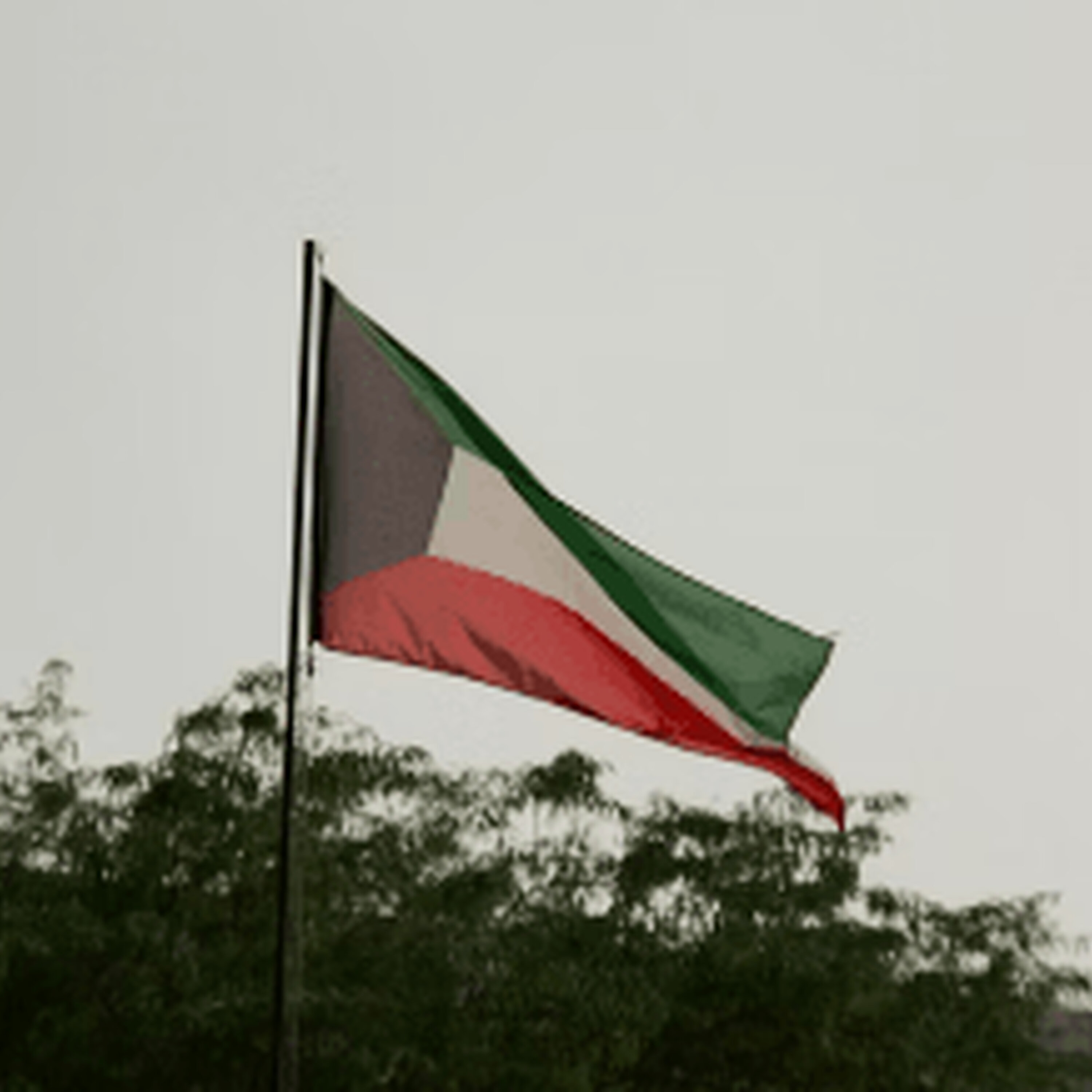 Podcast Painel JB 1ª Edição 03/03/2026 Podcast Painel JB 1ª Edição 03/03/2026